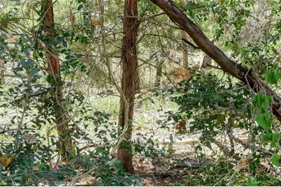 140 Kellogg Lane, Bastrop, TX 78602 - Photo 26
