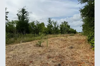 255 Crooked Road, Dale, TX 78616 - Photo 6