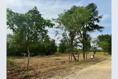 255 Crooked Road, Dale, TX 78616 - Photo 4