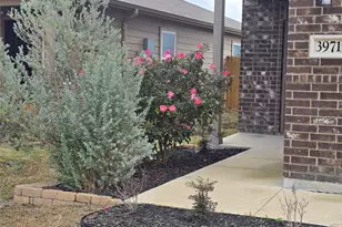 3971 Turtle Creek, New Braunfels, TX 78132 - Photo 2