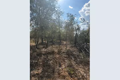 Lot 539 Kaaawa Lane, Bastrop, TX 78602 - Photo 4