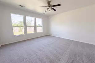 234 Wells Bend, Hutto, TX 78634 - Photo 14