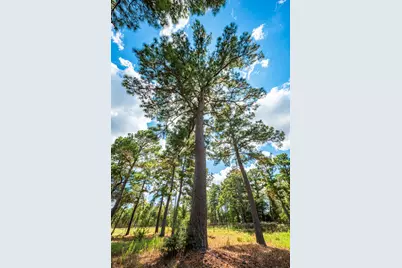 212 Meuth Cemetery Road, Red Rock, TX 78662 - Photo 14