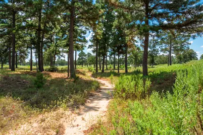 212 Meuth Cemetery Road, Red Rock, TX 78662 - Photo 18