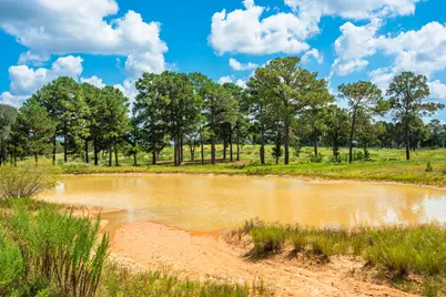 212 Meuth Cemetery Road, Red Rock, TX 78662 - Photo 12