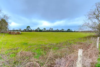 29241 Burton Cemetery Road, Waller, TX 77484 - Photo 22