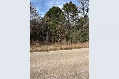 Lot 21 Flint Ridge Street, Bastrop, TX 78602 - Photo 2