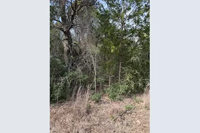 Lot 21 Flint Ridge Street, Bastrop, TX 78602 - Photo 6