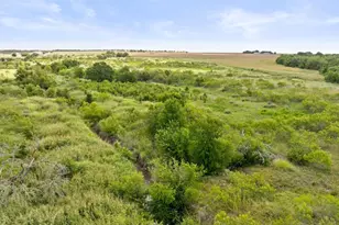 14101 Manda Rd, Manor, TX 78653 - Photo 8