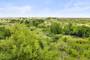 14101 Manda Rd, Manor, TX 78653 - Photo 10