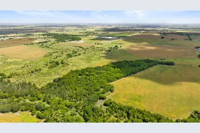 14101 Manda Road, Manor, TX 78653 - Photo 6