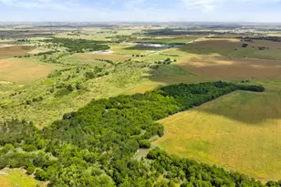 14101 Manda Rd, Manor, TX 78653 - Photo 6