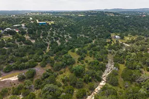 121 Spring Cove, Dripping Springs, TX 78620 - Photo 4