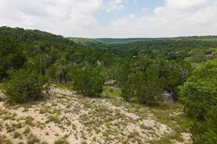 121 Spring Cove, Dripping Springs, TX 78620 - Photo 34