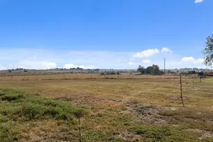 19919 Fm 973 Road N, Coupland, TX 78615 - Photo 6