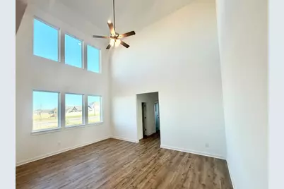 132 Royal Fern Rd Road, Hutto, TX 78634 - Photo 6