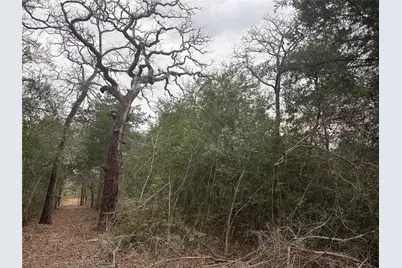 522 Fm 713, Rosanky, TX 78953 - Photo 16