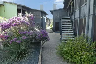 909 Reinli St, Austin, TX 78751 - Photo 20