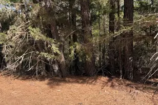 Lot 266 Wainee Dr, Bastrop, TX 78602 - Photo 1