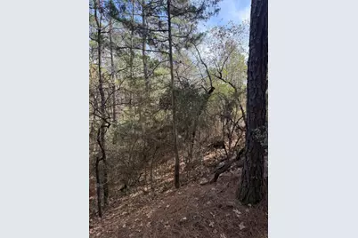 Lot 266 Wainee Drive, Bastrop, TX 78602 - Photo 6