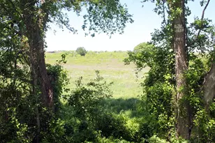 1023 Sierra Dr, Lockhart, TX 78644 - Photo 30