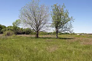 1023 Sierra Dr, Lockhart, TX 78644 - Photo 10