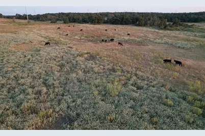 Tbd Tract 3 County Road 449, Thorndale, TX 76577 - Photo 8