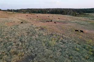 Tbd Tract 3 County Road 449, Thorndale, TX 76577 - Photo 8