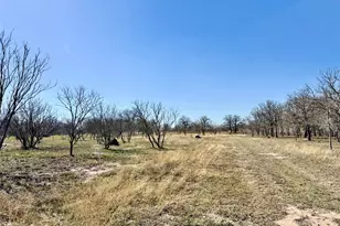 6739 Taylorsville Rd, Dale, TX 78616 - Photo 24