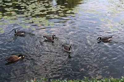 104 Horseshoe Bay Boulevard #5, Horseshoe Bay, TX 78657 - Photo 24