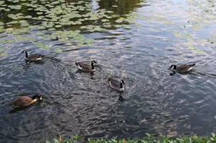 104 Horseshoe Bay Blvd, Horseshoe Bay, TX 78657 - Photo 24