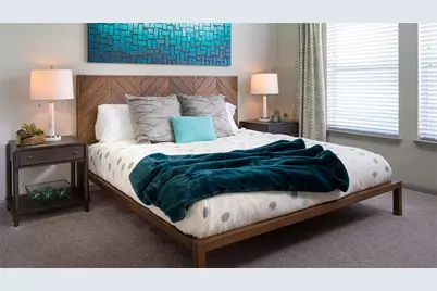 500 E Stassney Lane #00315, Austin, TX 78745 - Photo 4