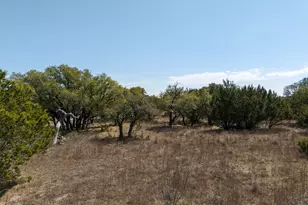 Tbd Lot 237 Heartleaf Dr, Lampasas, TX 76550 - Photo 22
