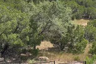 7013 Empresa Dr, Austin, TX 78738 - Photo 22