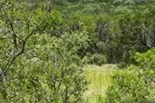 11351 Johnson Rd, Leander, TX 78641 - Photo 10