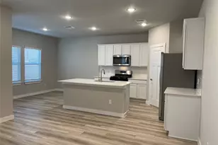 217 Coda Xing, Georgetown, TX 78633 - Photo 4