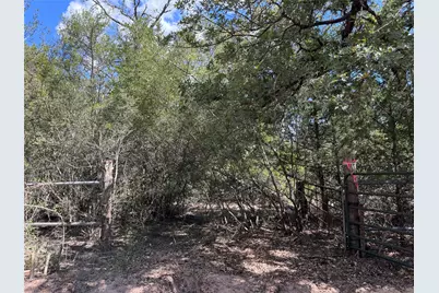 Tbd 50.62 Acres Rabel Road, Rosanky, TX 78953 - Photo 8