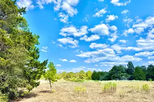 Tbd 50 62 Acres Rabel Rd, Rosanky, TX 78953 - Photo 1