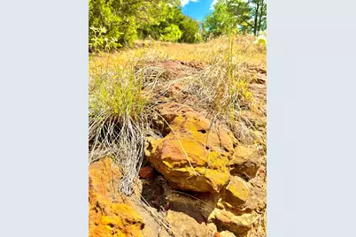 Tbd 50.62 Acres Rabel Road, Rosanky, TX 78953 - Photo 14