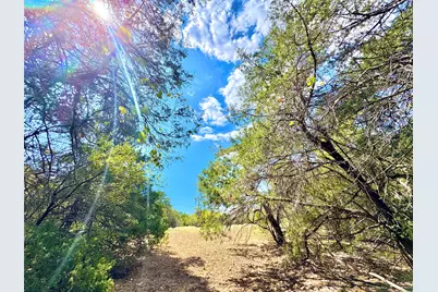 Tbd 50.62 Acres Rabel Road, Rosanky, TX 78953 - Photo 2