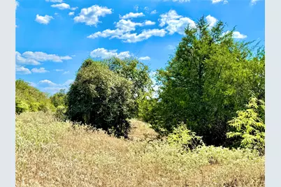 Tbd 50.62 Acres Rabel Road, Rosanky, TX 78953 - Photo 12