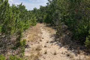 1970 Martin Rd, Dripping Springs, TX 78620 - Photo 36