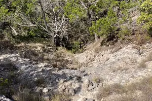 1970 Martin Rd, Dripping Springs, TX 78620 - Photo 30