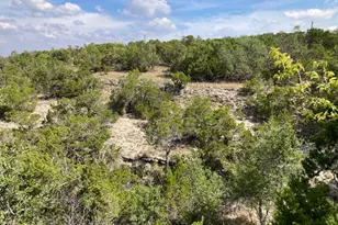 1970 Martin Rd, Dripping Springs, TX 78620 - Photo 22