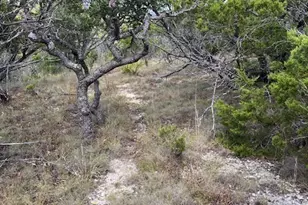1970 Martin Rd, Dripping Springs, TX 78620 - Photo 32
