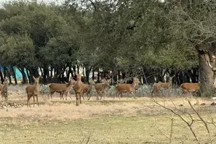 0 River Shoals Dr, Kempner, TX 76539 - Photo 20