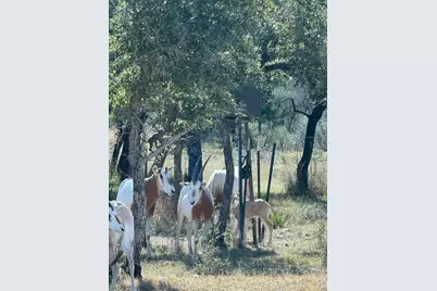 0 River Shoals Drive, Kempner, TX 76539 - Photo 22