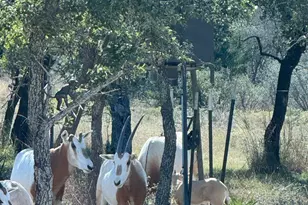 0 River Shoals Dr, Kempner, TX 76539 - Photo 22