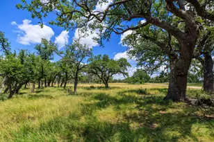 Lot 88 Stock Pond Dr, Harper, TX 78631 - Photo 1