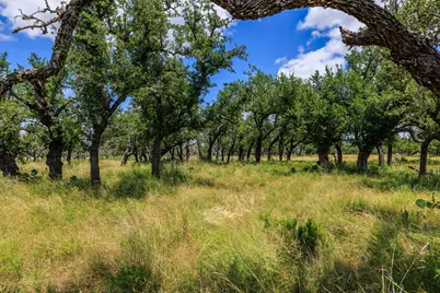 Lot 88 Stock Pond Drive, Harper, TX 78631 - Photo 12